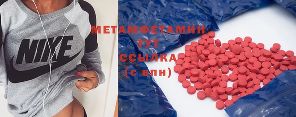 прущие грибы Каменногорск